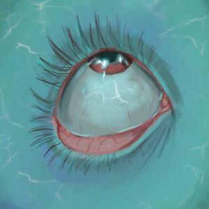 Meet your Posher, Elias